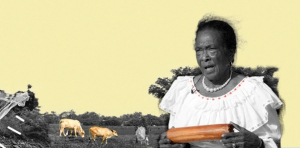 Empieza Conferencia Internacional del Agua 2022