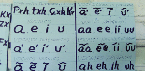 Ense&ntilde;anza e investigaci&oacute;n sobre lenguas minorizadas de Colombia: el caso nasa yuwe