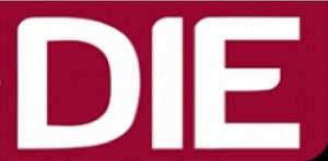 Sesi&oacute;n informativa de &eacute;nfasis del DIE