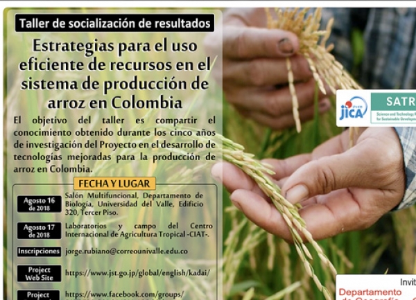 Taller Estrategias para el uso eficiente de recursos en el sistema de producci&oacute;n de arroz en Colombia