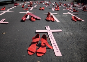 Plant&oacute;n Nacional contra los feminicidios