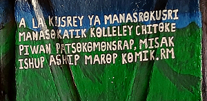 IV Seminario de Lenguas de Colombia