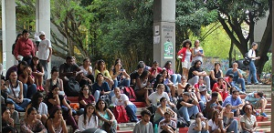 Se hace camino al andar