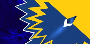 Instalaci&oacute;n del Parlamento Andino de la Universidad del Valle