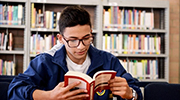 Menci&oacute;n de Honor al M&eacute;rito Acad&eacute;mico e Investigativo