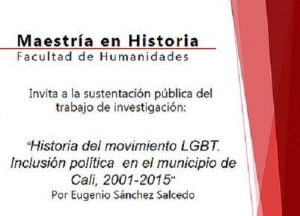 Historia del movimiento LGBT. Inclusi&oacute;n pol&iacute;tica  en el municipio de Cali, 2001-2015