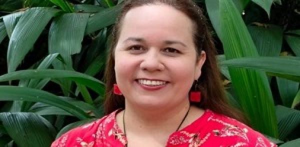 Estado actual de la ense&ntilde;anza de la historia en la educaci&oacute;n b&aacute;sica y media en Colombia