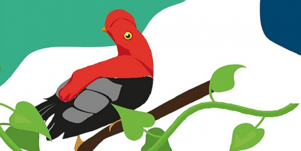 Parch&eacute;monos por la biodiversidad