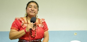 V&iacute;nculos Acad&eacute;micos con Negma Coy