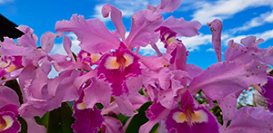 Salida de campo con los estudiantes de la Maestr&iacute;a en Historia