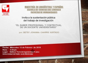 Sustentaci&oacute;n de tesis: El saber profesional y contextual de un docente universitario