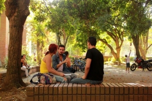 Declaratoria p&uacute;blica del Consejo de Facultad de Humanidades