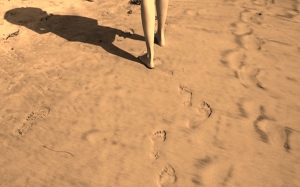 DIPLOMADO EN DID&Aacute;CTICA PARA EL DESARROLLO DE LA LECTURA CR&Iacute;TICA Y L A COMUNICACI&Oacute;N ESCRITA