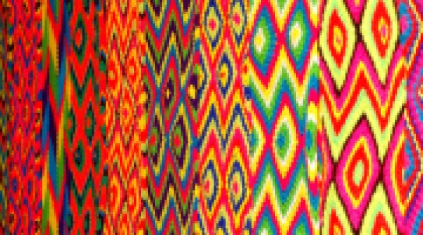 Conferencia: La doble negaci&oacute;n en lengua wayuu